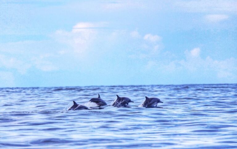 Blog thumbnail image